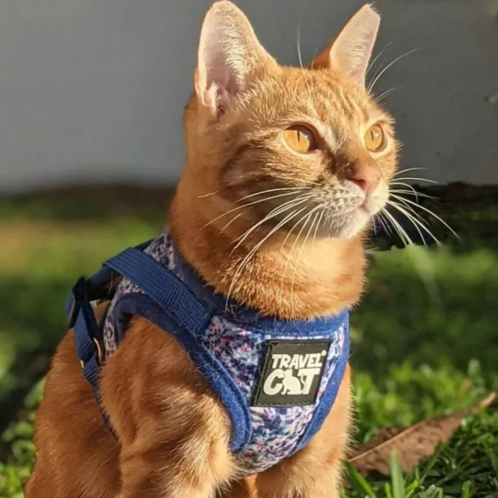 PETS: TRAVEL CAT: THE TRUE ADVENTURER HARNESS & LEASH SET